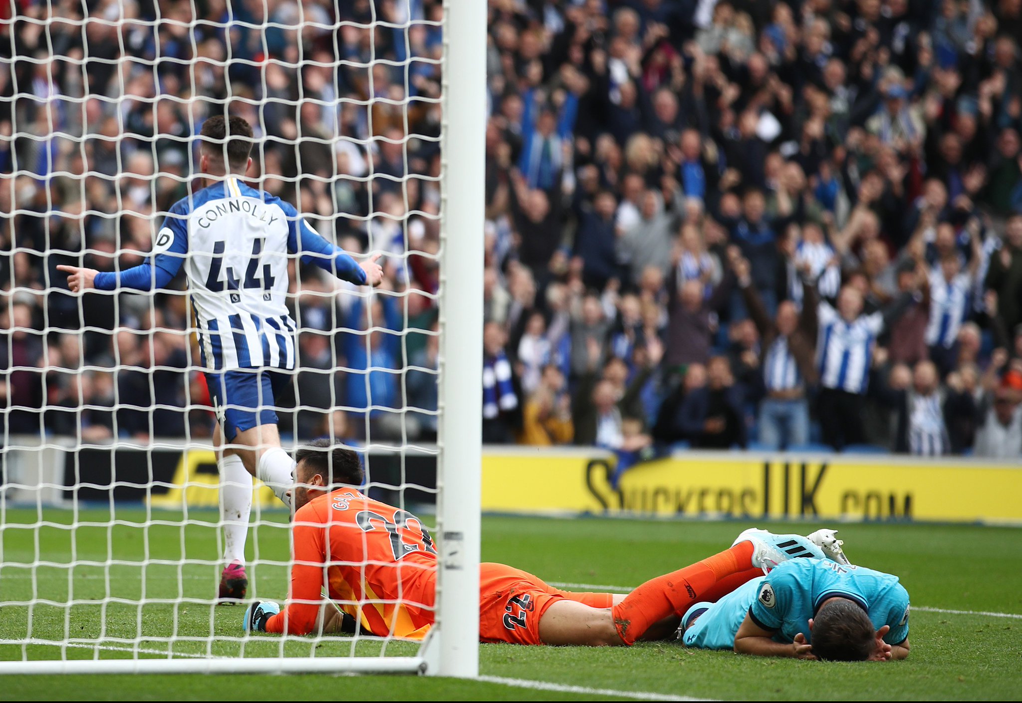 球树立了新 球树立了新